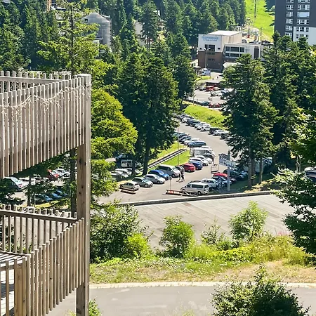 Les Estives Au Pied Des Pistes, Le Lioran, Terrasse, 2 Chambres, 4 Lits * Laveissière
