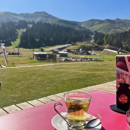 Les Estives Au Pied Des Pistes, Le Lioran, Terrasse, 2 Chambres, 4 Lits Apartamento