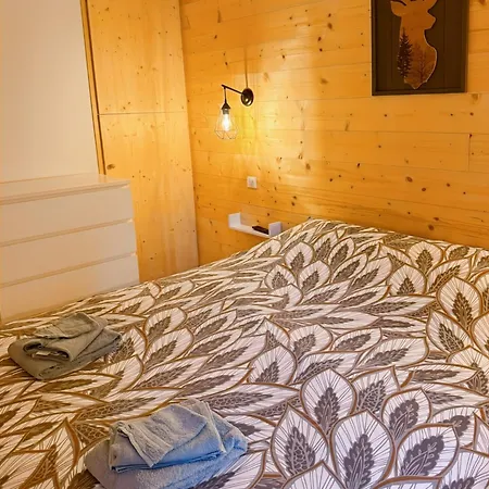 Les Estives Au Pied Des Pistes, Le Lioran, Terrasse, 2 Chambres, 4 Lits *